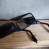 Coppia specchi per moto