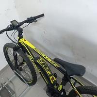 Bici Ebike mountain elettrica pedalata assistita