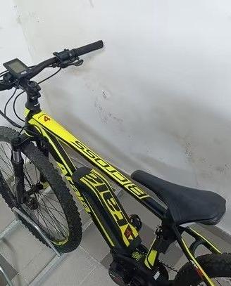 Bici Ebike mountain elettrica pedalata assistita