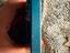 Immagine 5