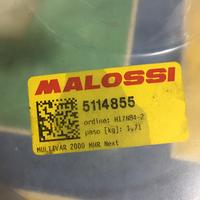Variatore Malossi
