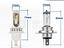Immagine 8