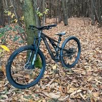 Specialized Stumpjumper Comp Alloy