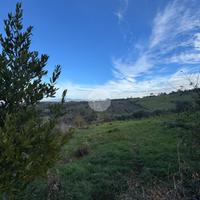 TER. AGRICOLO A MONTEROTONDO