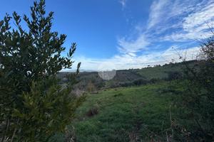 TER. AGRICOLO A MONTEROTONDO