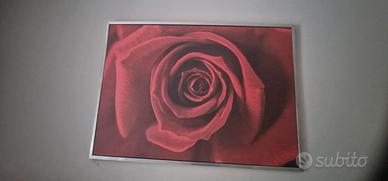 quadro con rosa rossa