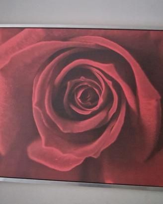 quadro con rosa rossa