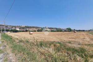 TER. RESIDENZIALE A NOTARESCO