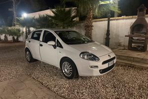 Punto evo 1.3 perfetta 95 cv neopatentato