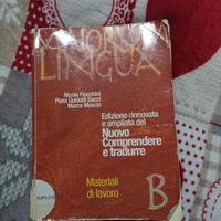 Maiorum lingua B