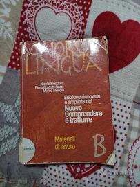 Maiorum lingua B