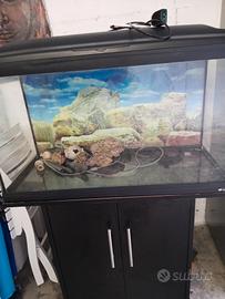 acquario Cayman 85x35x75h 