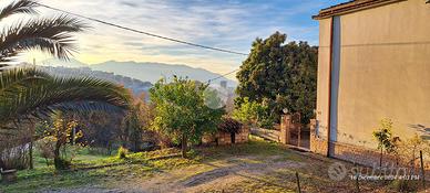 CASA INDIPENDENTE A FROSINONE