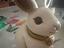 Immagine 1