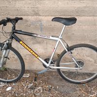 bicicletta MTB
