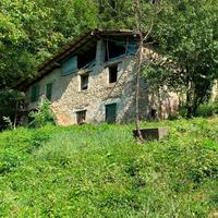 Cascina con terreno e bosco di proprietà