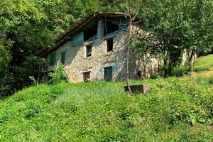 Cascina con terreno e bosco di proprietà