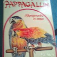 Pappagalli e Pappagallini