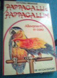 Pappagalli e Pappagallini