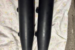 Terminali scarichi Sportster