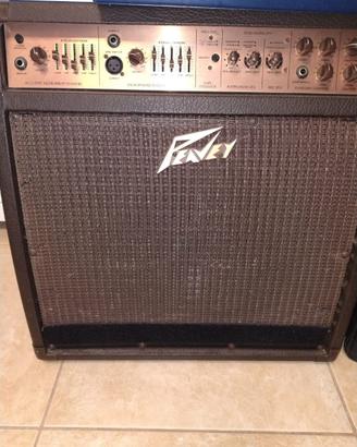 Peavey Ecoustic 112 EFX 100-Watt 1x12 Acoustic Gui