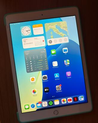 i Pad