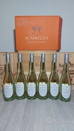 Tenuta Montenoro - Scabrezza Pinot Grigio IGT 2025