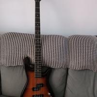 Basso Spector legend 4 standard 