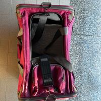 trasportino per gatto