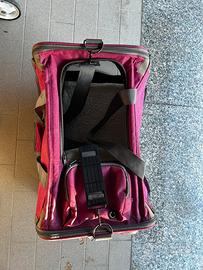 trasportino per gatto