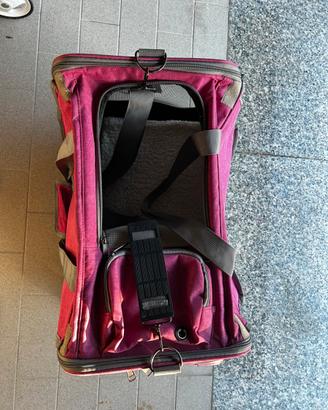 trasportino per gatto