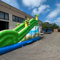 SCIVOLO GONFIABILE ACQUATICO TEMA PALMA