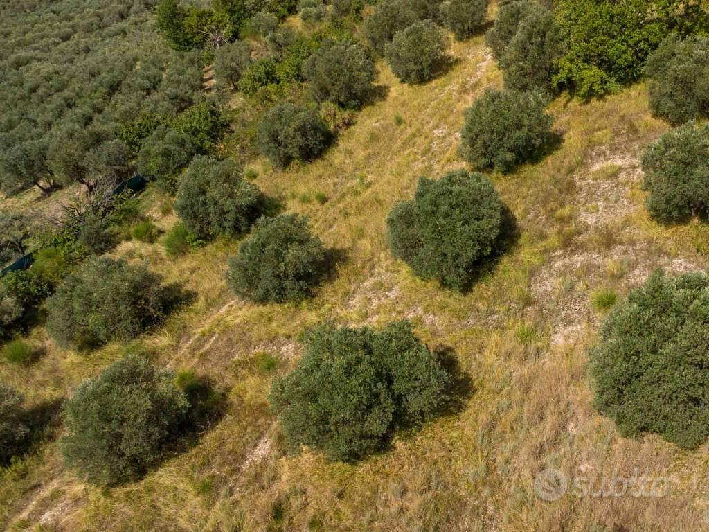 Terreno di 3770 m² a Poggio Nativo - Altro