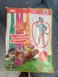 Costume di Carnevale