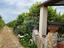 Immagine 20