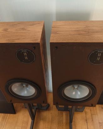 Casse diffusori Infinity RSa