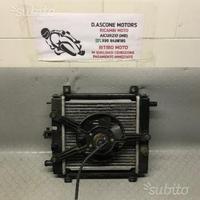 Radiatore xciting 250i