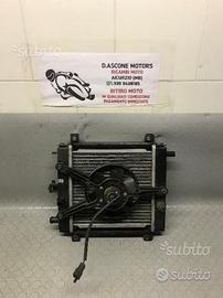 Radiatore xciting 250i