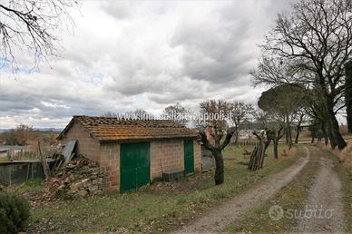 CA54 - Sinalunga terreno di 3825 metri con