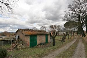 CA54 - Sinalunga terreno di 3825 metri con