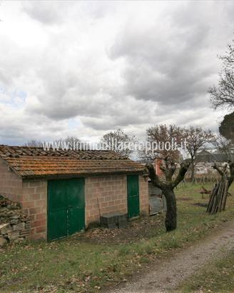 CA54 - Sinalunga terreno di 3825 metri con
