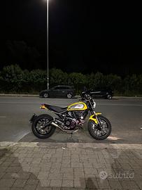 Ducati scrambler icon 800 2021