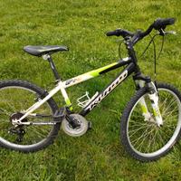 Bici Mountain bike