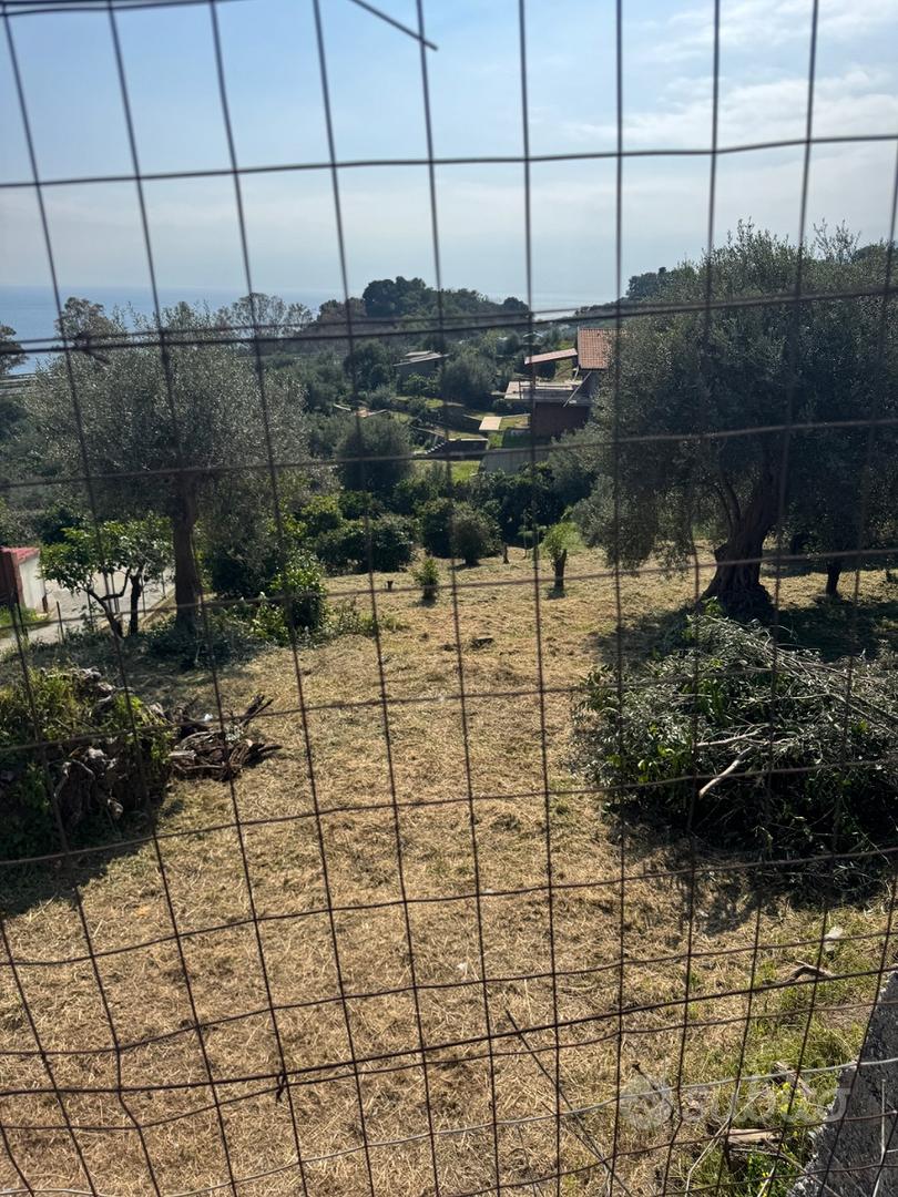 Terreno agricolo - View 2