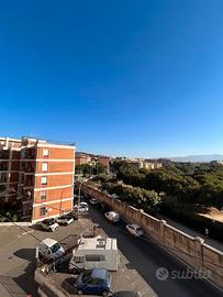 Ampia stanza in via Falletti