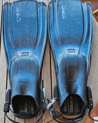 pinne sub mares
