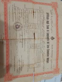 certificato di studio. da collezione del90p