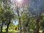 Immagine 14