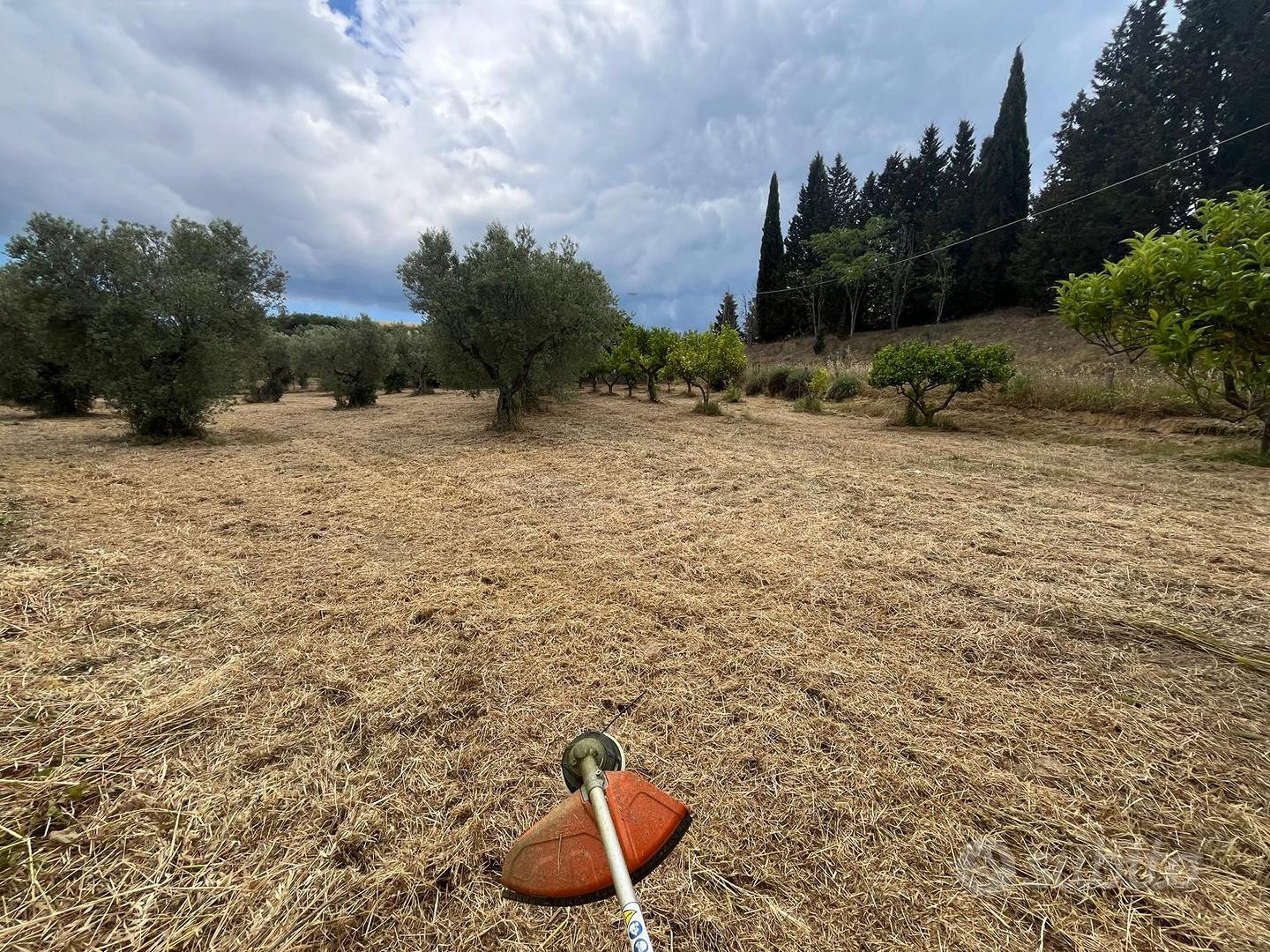 Casa – Santa Sofia d'Epiro, Cosenza - Vista 3