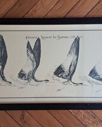 Quadro J.O. Heron "Comment Naissent les Bateaux"